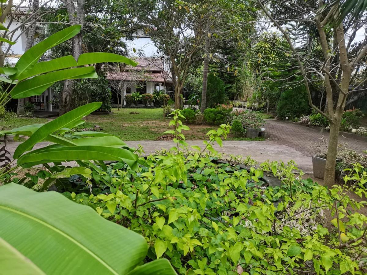 Seyara Holiday Resort Polonnaruwa Luaran gambar